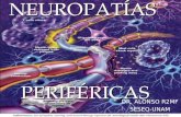 Neuropatías periféricas