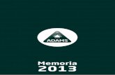 Adams Formación. Memoria de Actividades-2013