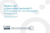 "What's Up?" Herramienta de microblog. Instrucciones castellano