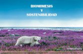 Biomimesis y sostenibilidad