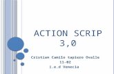 Action scrip 3,0