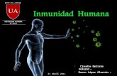Inmunidad humana