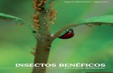 Insectos beneficos