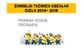 CTE PRIMERA SESION 2014-2015 PRIMARIAS