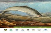 Reglamento de Pesca Deportiva Continental Patagónico 2012 – 2013