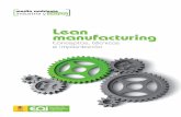 Lean manufacturing. Conceptos, técnicas e implantación