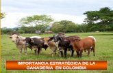 Import an CIA de La Ganaderia en Colombia