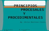 Principios Procesales y Procedimentales