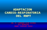 adaptacion cardiorespiratoria del rn