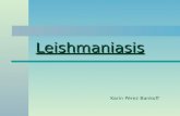 Leishmaniasis 2