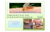 PAULINA CARRASCO GRUPO2 Leishmaniasis