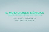 3.1. Mutaciones Génicas