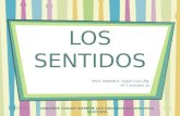 LOS SENTIDOS - 3ER GRADO DE PRIMARIA