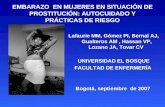Embarazo Prostitucion PresentacióN Congreso Investigaciones