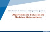 Algoritmos de solucion de modelos matematicos