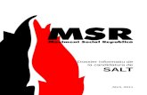 Dossier Informatiu MSR Salt