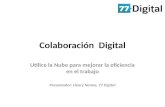 Colaboracion Digital