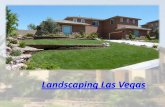 Landscaping las vegas