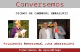 Dichos de Cardenal Errázuriz: Matrimonio homosexual ¿Una aberración?