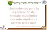 Lineamientos para la Organización del Trabajo Académico durante Séptimo y Octavo semestres