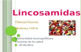 Lincosamidas y Vancomicina