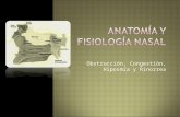 ANATOMIA Y FISIOLOGIA NASAL