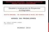 Arbol de Problemas-Proyectos