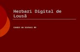 Herbari Digital De Lousã