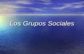 Los grupos sociales 2007