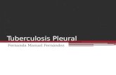 Tuberculosis pleural