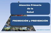 APS Promoción y Prevención en Salud
