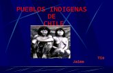 Power Pueblos Originarios De Chile