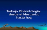 Trabajo paleontología
