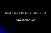 6498430 Musculos Del Cuello