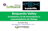 Ecosistema 2.0 de innovadores malaga  amalio rey_emotools