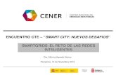 CENER: Smart grids: El reto de las redes inteligentes