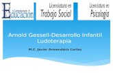 Arnold gessell desarrollo infantil-ludoterapia-javier