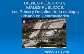 “Retos y desafíos de la ecología urbana en Centroamérica”.