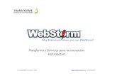 WebStorm - Productos y Servicios de Consultoría