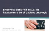 Evidència científica actual de l'acupuntura en el pacient oncològic