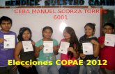 Elecciones copae 2012