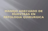 MANEJO ADECUADO DE MUESTRAS EN PATOLOGIA QUIRURGICA.pptx