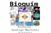 Lineamientos curso de bioquimica anahuac