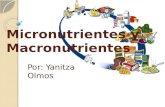 Micronutrientes y macronutrientes