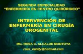 Urologia Exposicion Rosa Alcalde Montoya 2013