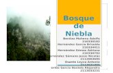 Bosque de Niebla (1)
