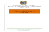 46480103 Ficha Tecnica Papaya