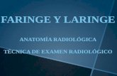 Faringe y Laringe