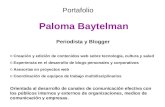 Portafolio Baytelman