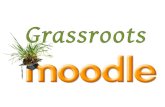 Grassroots moodle - Mitja Podreka